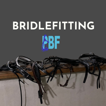 Ontwerp zonder titel 2