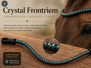 Ontwerp zonder titel 33 1