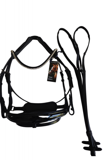 Ontwerp zonder titel 33